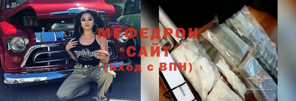 индика Беломорск
