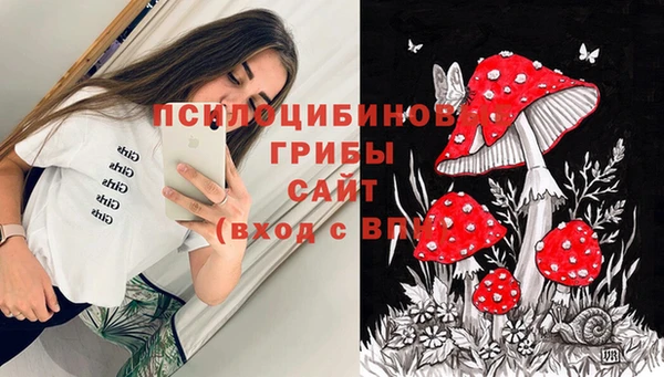 индика Беломорск
