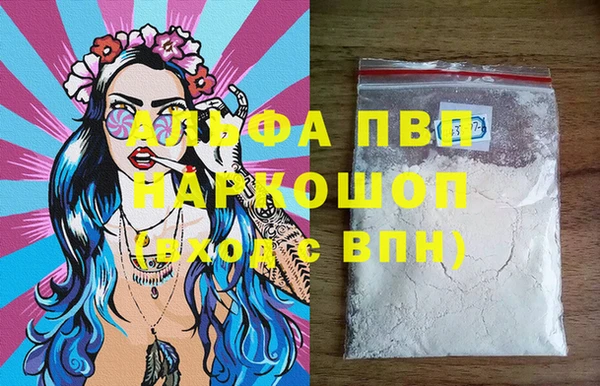 индика Беломорск