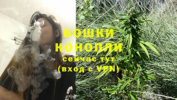 индика Беломорск