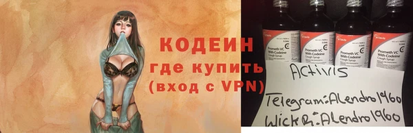 индика Беломорск