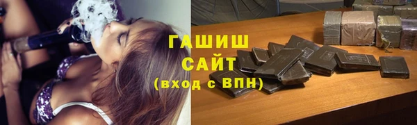 индика Беломорск