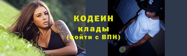 индика Беломорск