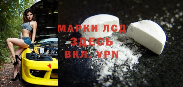 индика Беломорск
