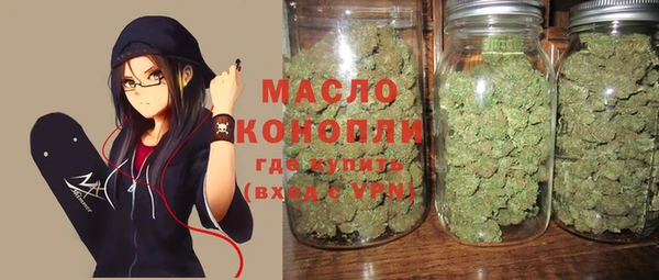 индика Беломорск