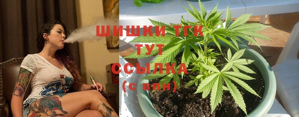 индика Беломорск