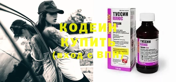 индика Беломорск