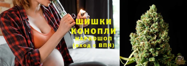 гидра Белоозёрский